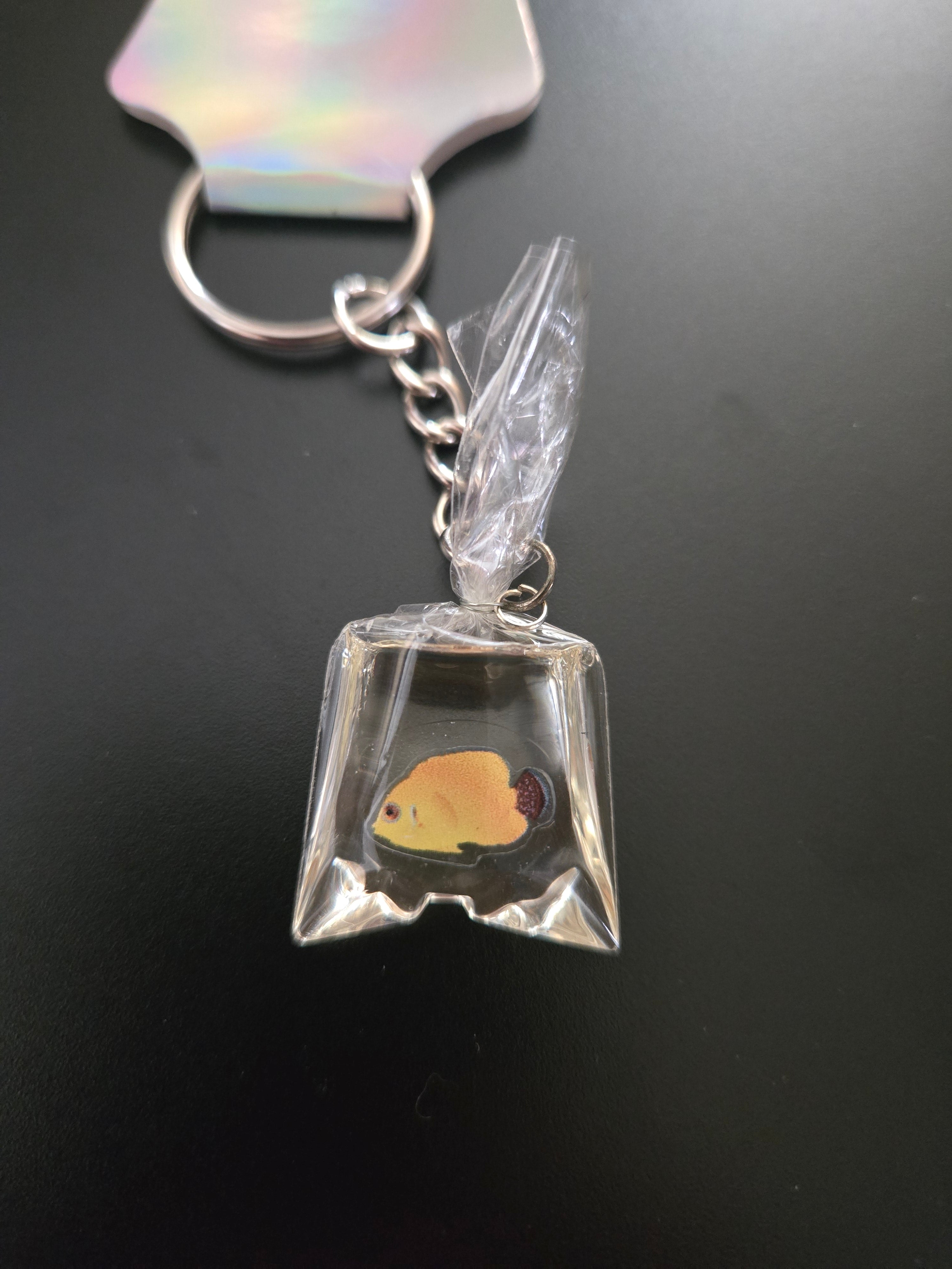 Fish in a bag keychain
