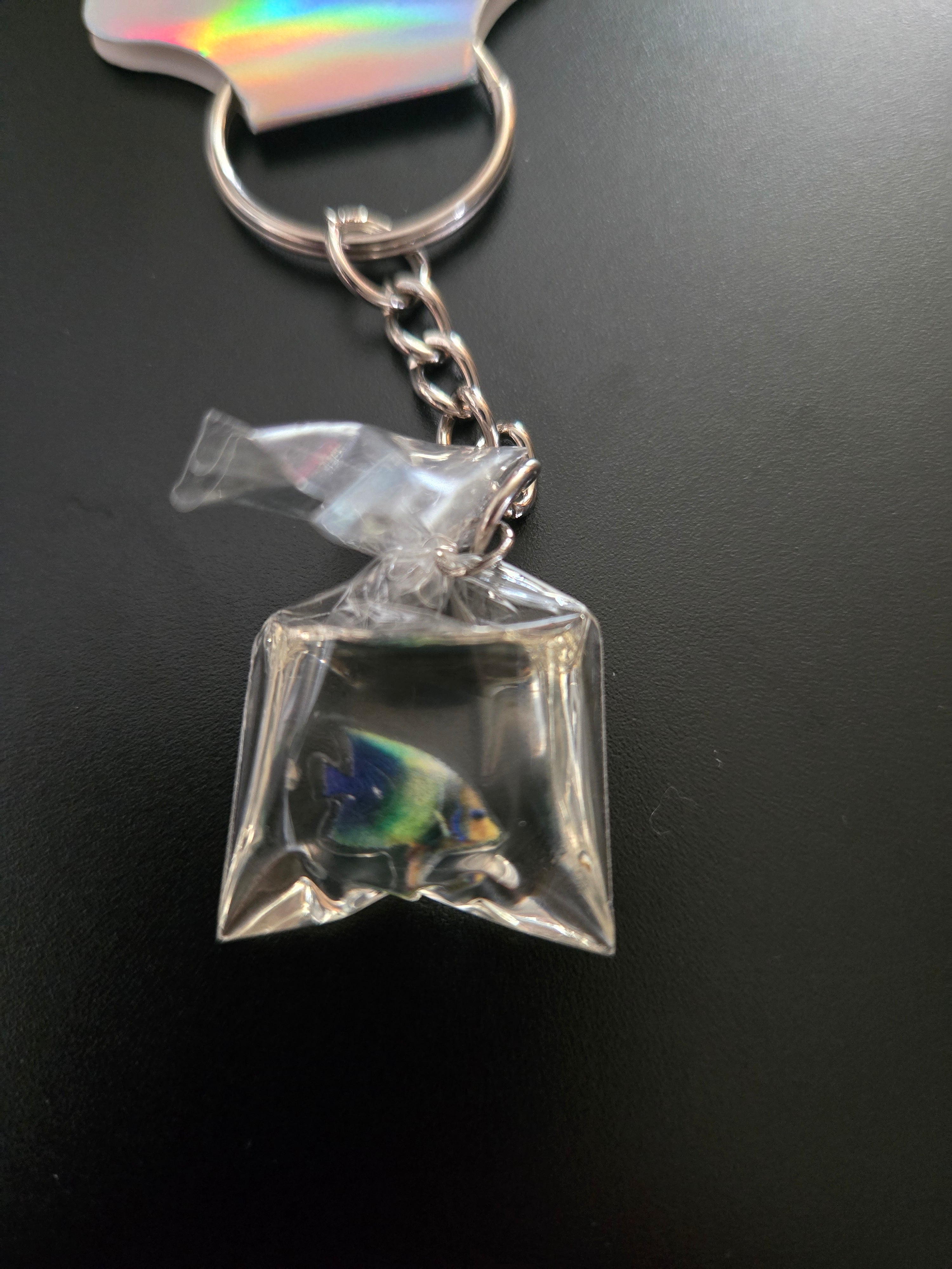 Fish in a bag keychain